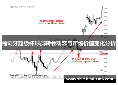 葡萄牙超级杯球员转会动态与市场价值变化分析
