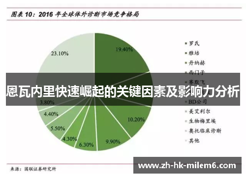 恩瓦内里快速崛起的关键因素及影响力分析