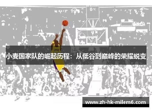 小麦国家队的崛起历程：从低谷到巅峰的荣耀蜕变