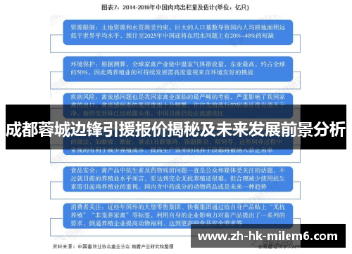 成都蓉城边锋引援报价揭秘及未来发展前景分析