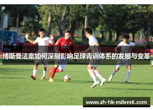 博斯曼法案如何深刻影响足球青训体系的发展与变革