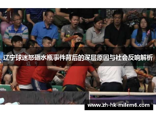 辽宁球迷怒砸水瓶事件背后的深层原因与社会反响解析